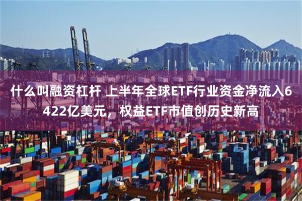 什么叫融资杠杆 上半年全球ETF行业资金净流入6422亿美元，权益ETF市值创历史新高