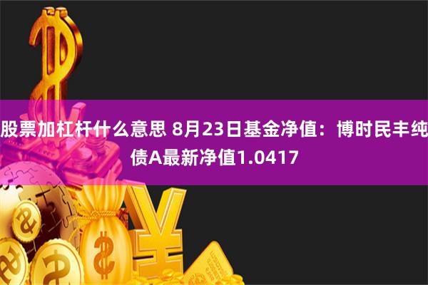 股票加杠杆什么意思 8月23日基金净值：博时民丰纯债A最新净值1.0417