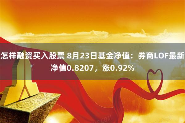 怎样融资买入股票 8月23日基金净值：券商LOF最新净值0.8207，涨0.92%