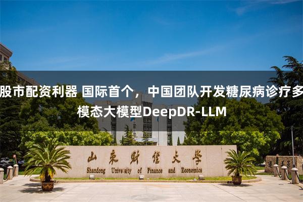 股市配资利器 国际首个，中国团队开发糖尿病诊疗多模态大模型DeepDR-LLM