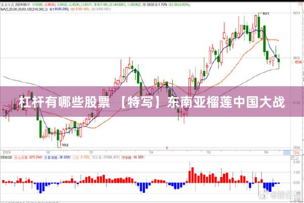 杠杆有哪些股票 【特写】东南亚榴莲中国大战