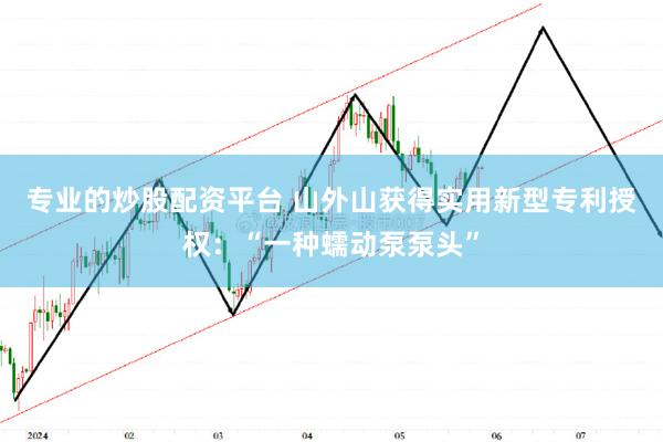 专业的炒股配资平台 山外山获得实用新型专利授权：“一种蠕动泵泵头”