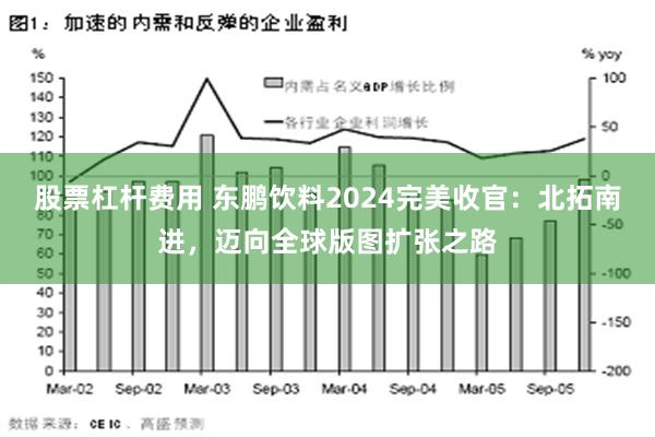 股票杠杆费用 东鹏饮料2024完美收官：北拓南进，迈向全球版图扩张之路