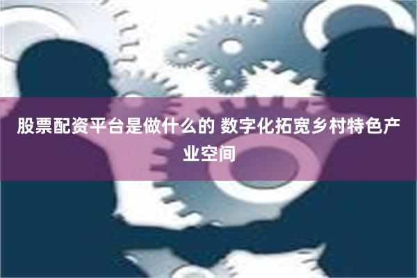 股票配资平台是做什么的 数字化拓宽乡村特色产业空间