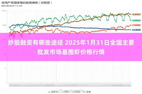 炒股融资有哪些途径 2025年1月31日全国主要批发市场基围虾价格行情