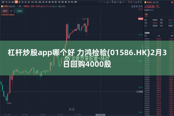 杠杆炒股app哪个好 力鸿检验(01586.HK)2月3日回购4000股